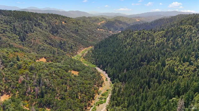 a view of a lush green forest with mountains in the background