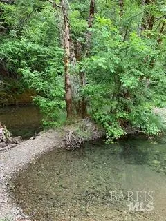 a view of a lake with beach and tree