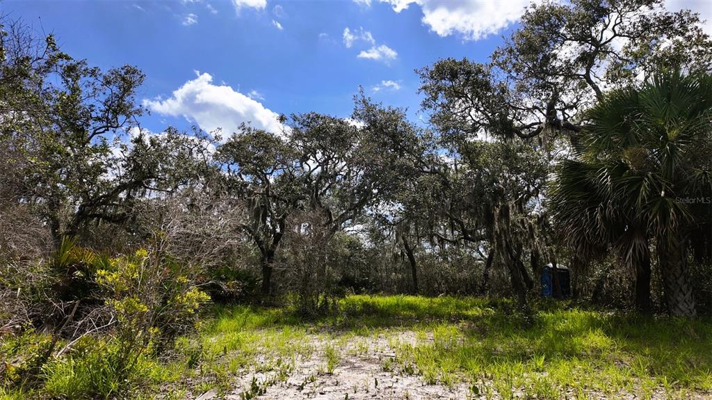 0 Clark Island Cedar Key, FL 32625 - Photo 17 of 24