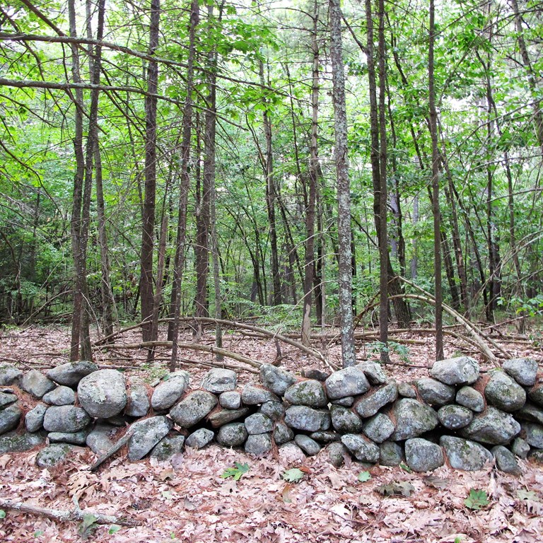Lot 10 Bullard Road Princeton, MA 01541 - Photo 3 of 3 a view of a forest with trees