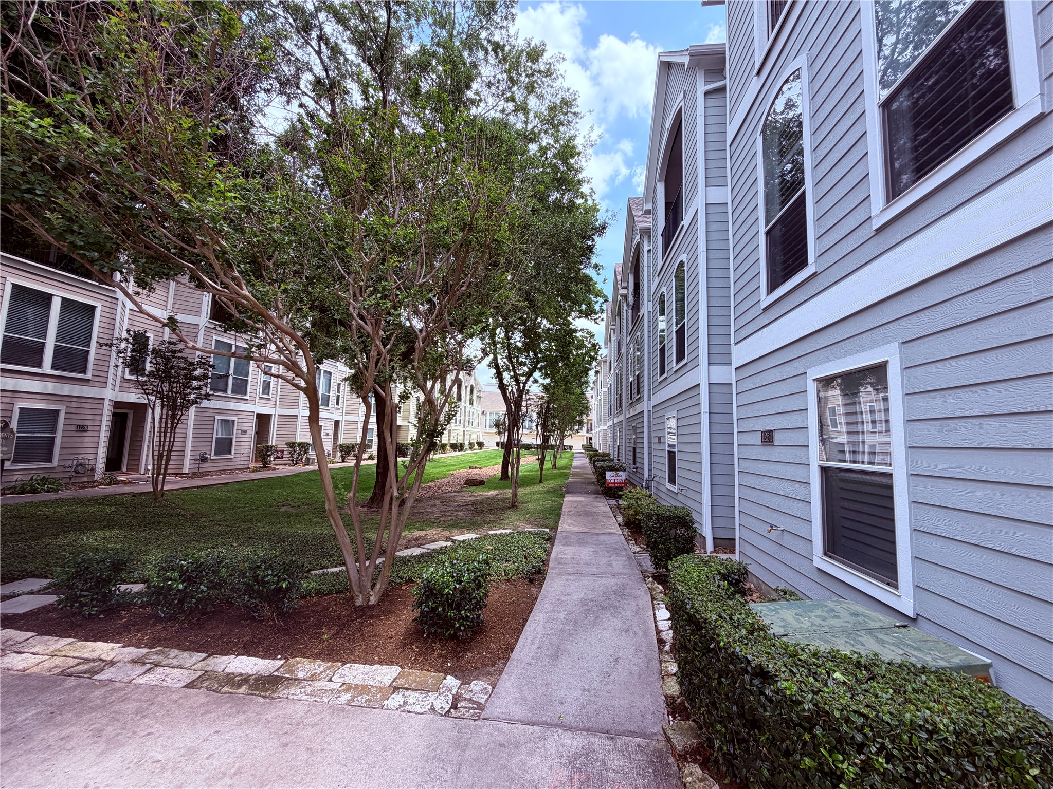 1253 West 17th Street Houston, TX 77008 - Photo 18 of 21