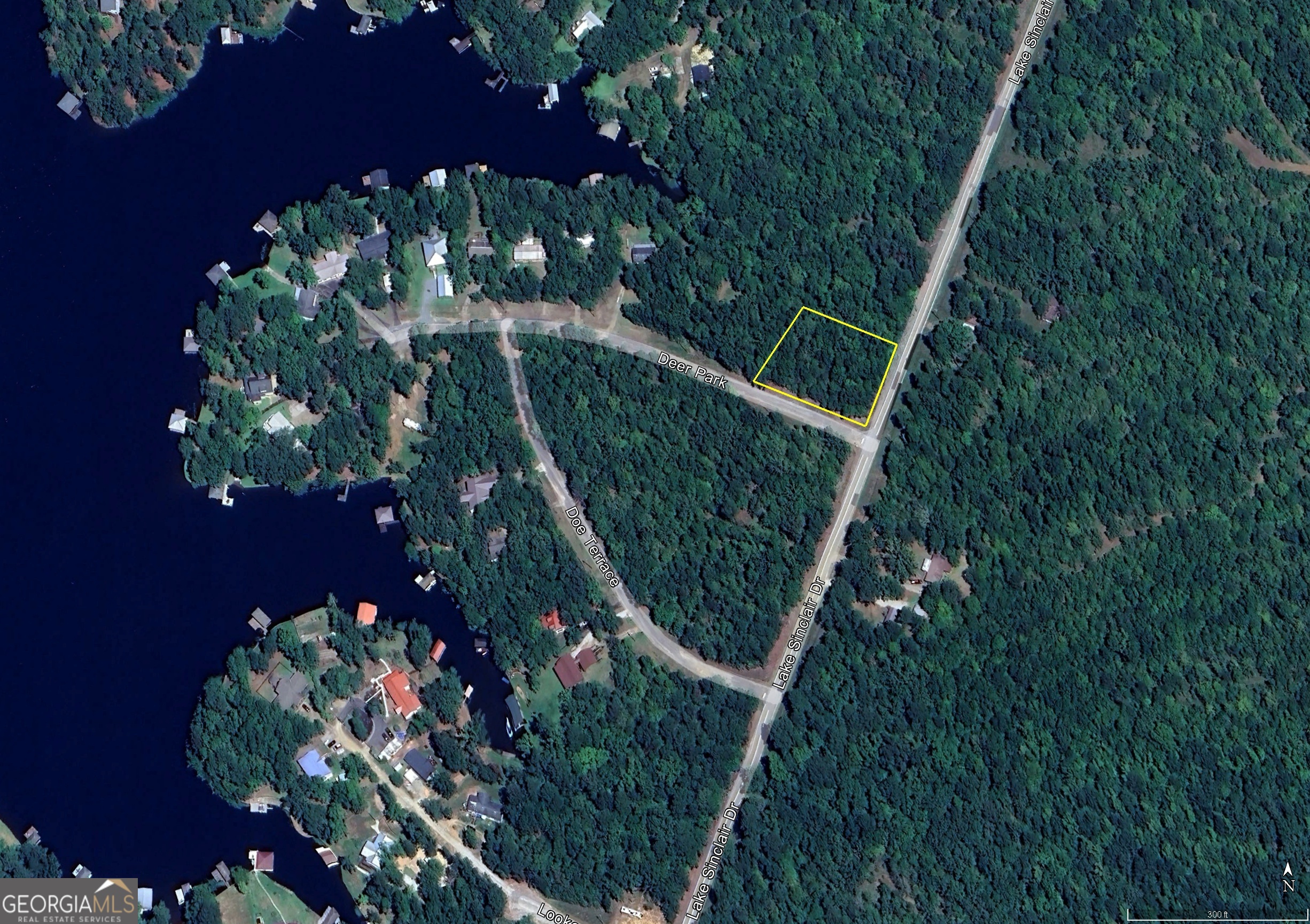 a picture of flowers