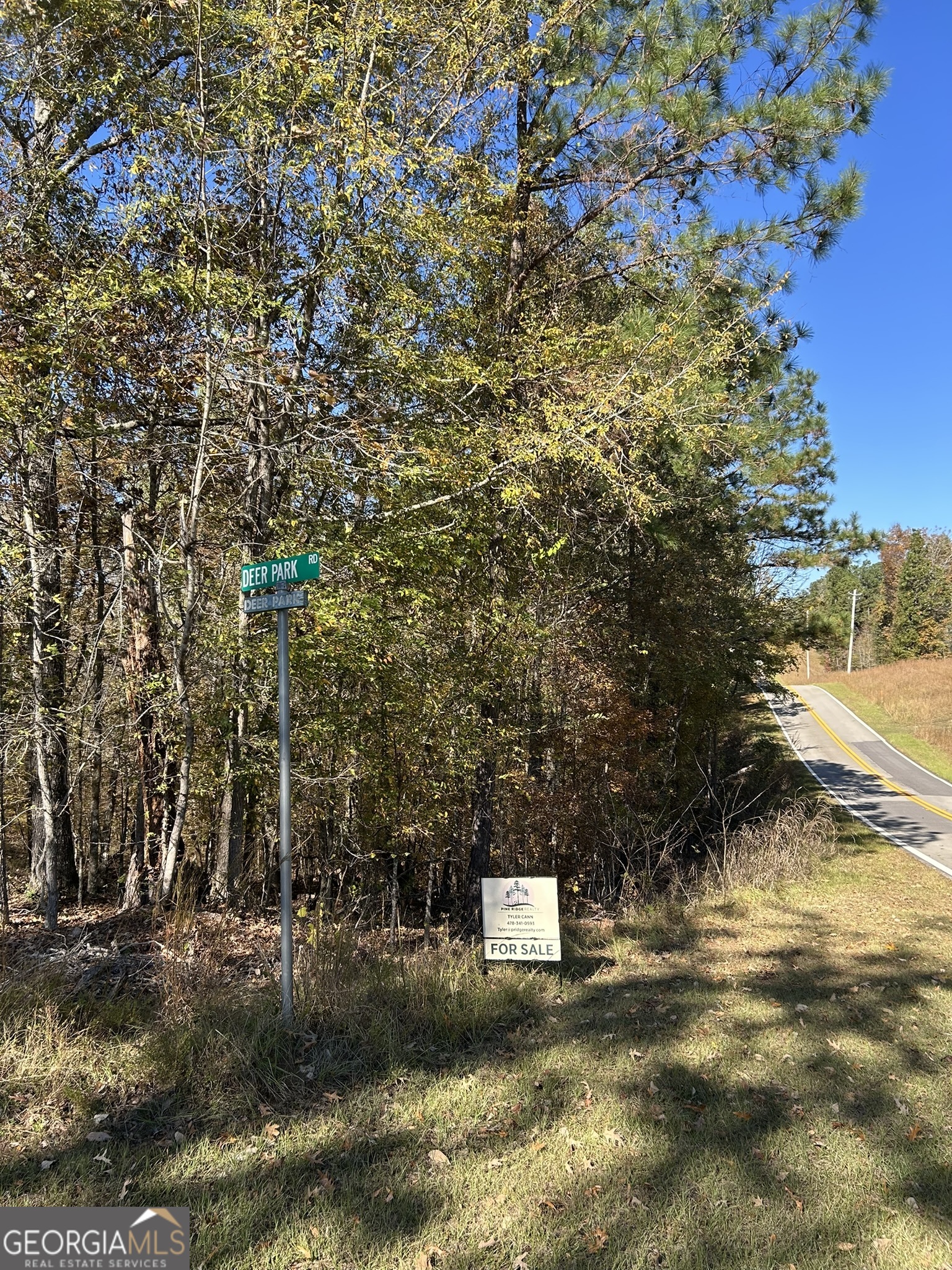 0 Deer Park Sparta, GA 31087 - Photo 3 of 7 a view of a lake with houses