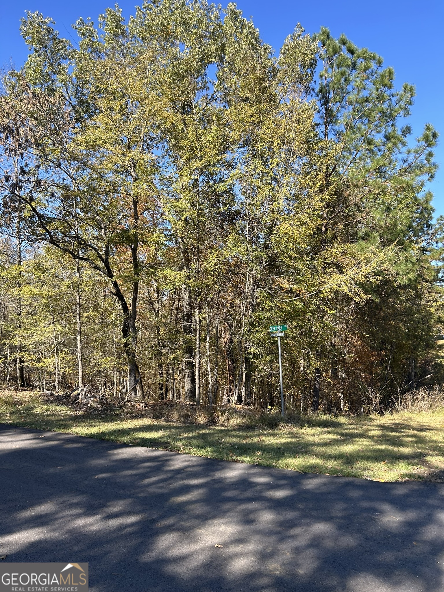 0 Deer Park Sparta, GA 31087 - Photo 4 of 7 a view of swimming pool with a yard
