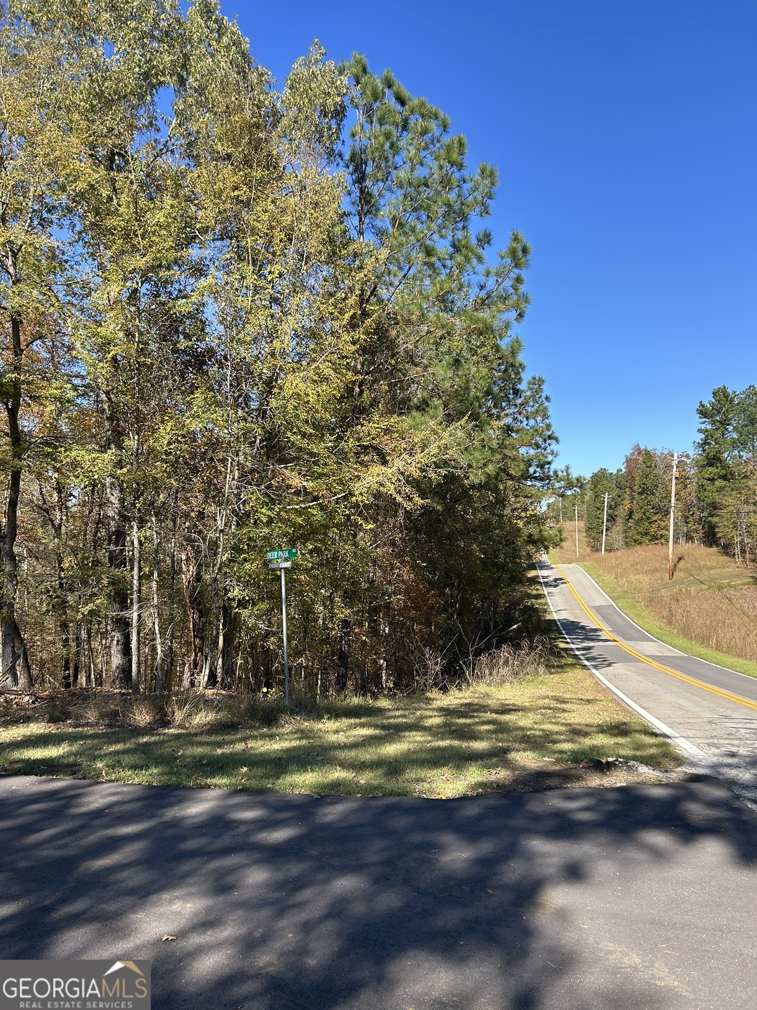 0 Deer Park Sparta, GA 31087 - Photo 5 of 7 a view of a yard with a trees