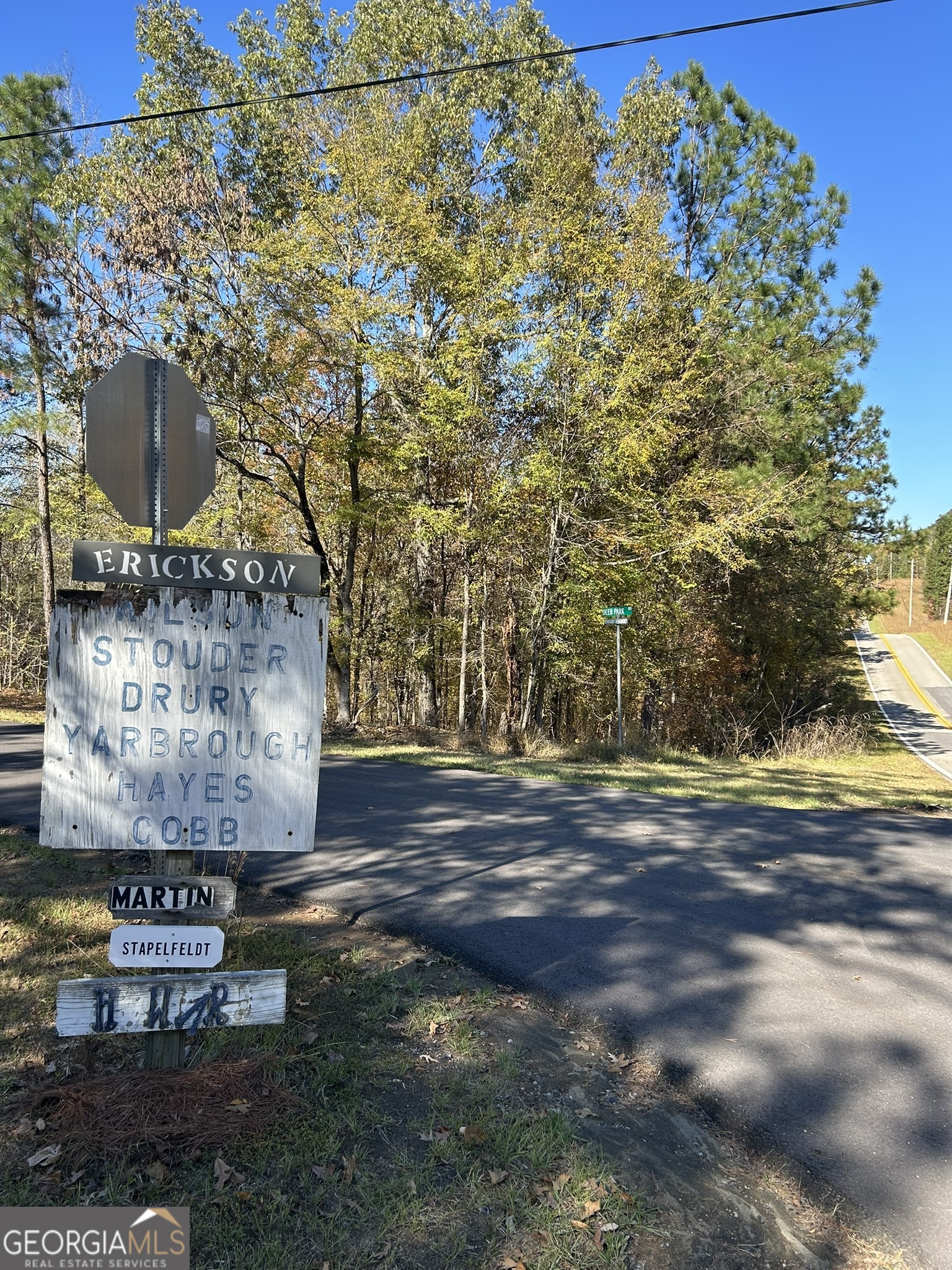 0 Deer Park Sparta, GA 31087 - Photo 7 of 7 a view of a water fountain in the middle of a yard