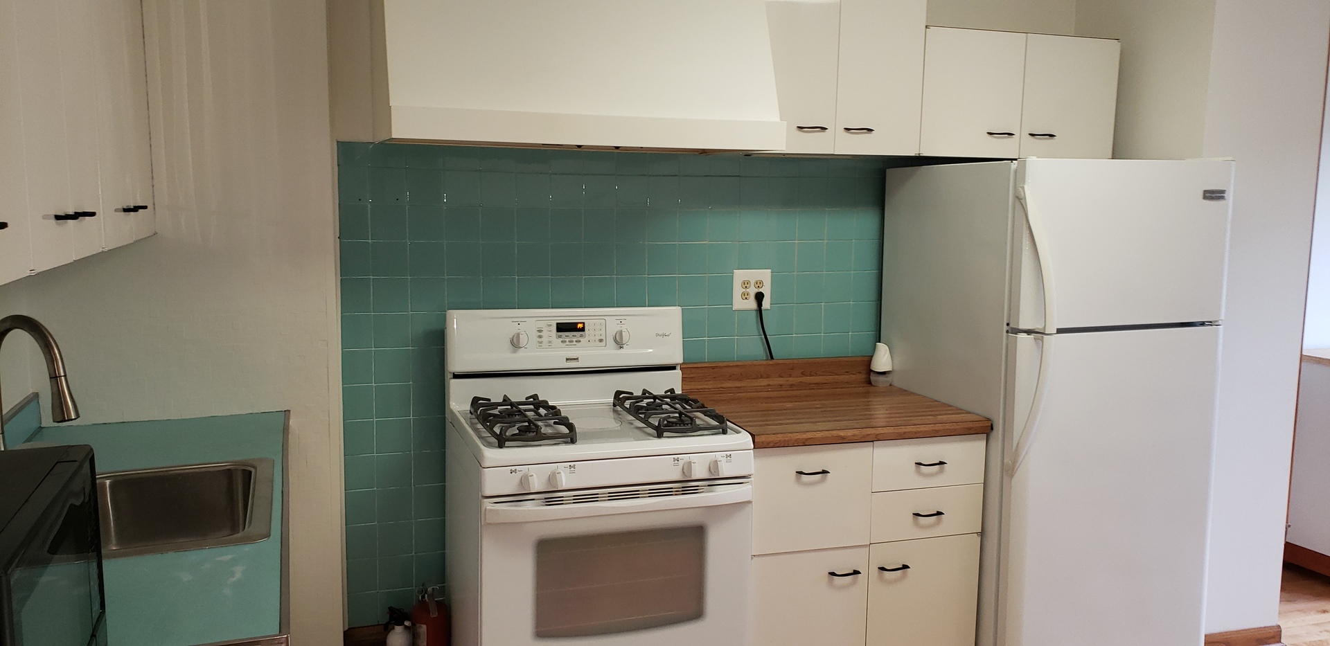 1452 West Rascher Avenue Chicago, IL 60640 - Photo 8 of 31