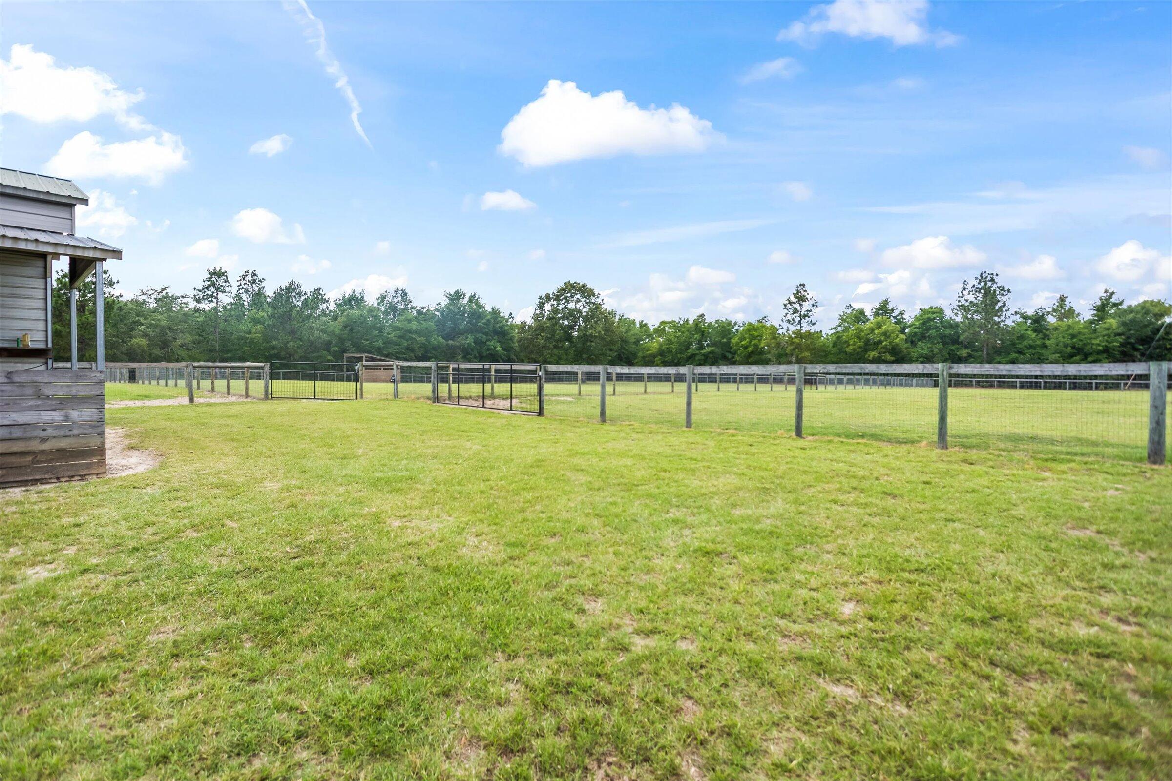 1178 Weeks Road Williston, SC 29853 - Photo 68 of 72