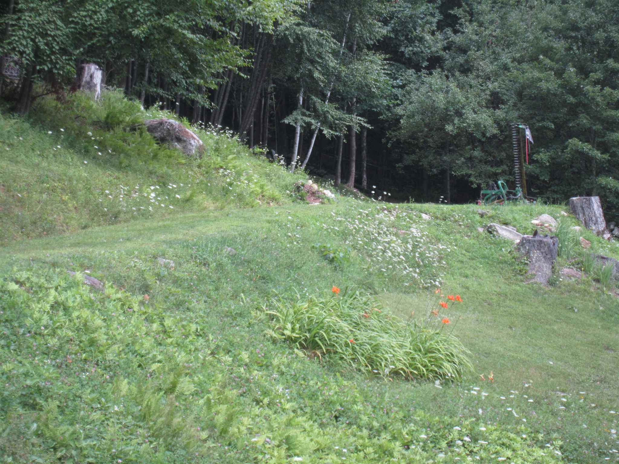 1669 Grafton Road Townshend, VT 05353 - Photo 24 of 24