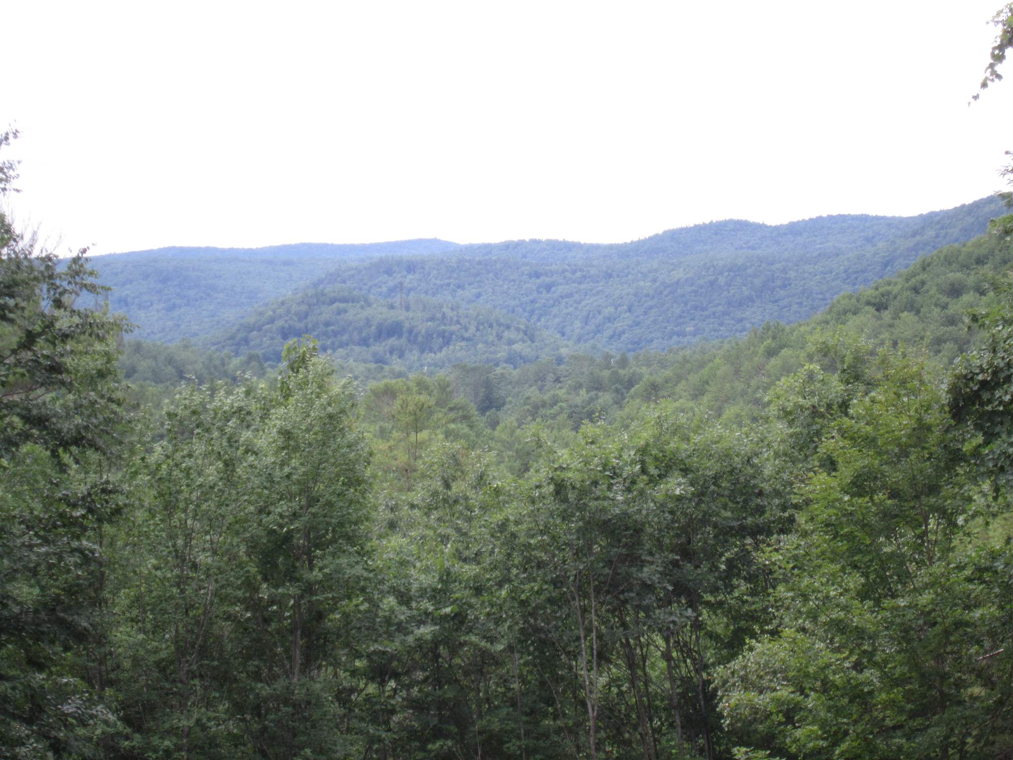 1669 Grafton Road Townshend, VT 05353 - Photo 6 of 24