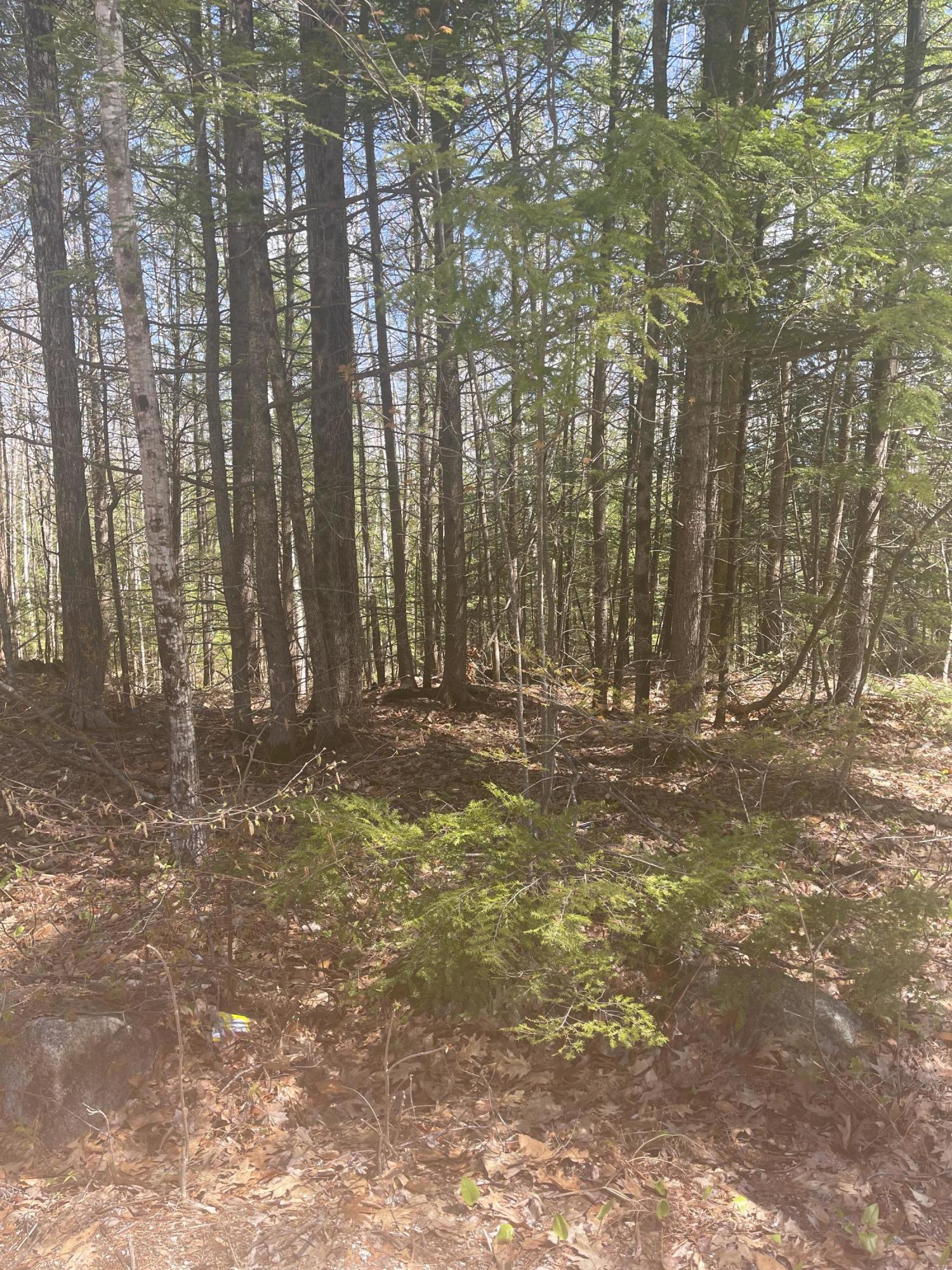 Lot 19 Burnham Road Bridgton, ME 04009 - Photo 5 of 5 3CE9DC6A-29A1-4F4A-9E5C-480EAF2B8D48