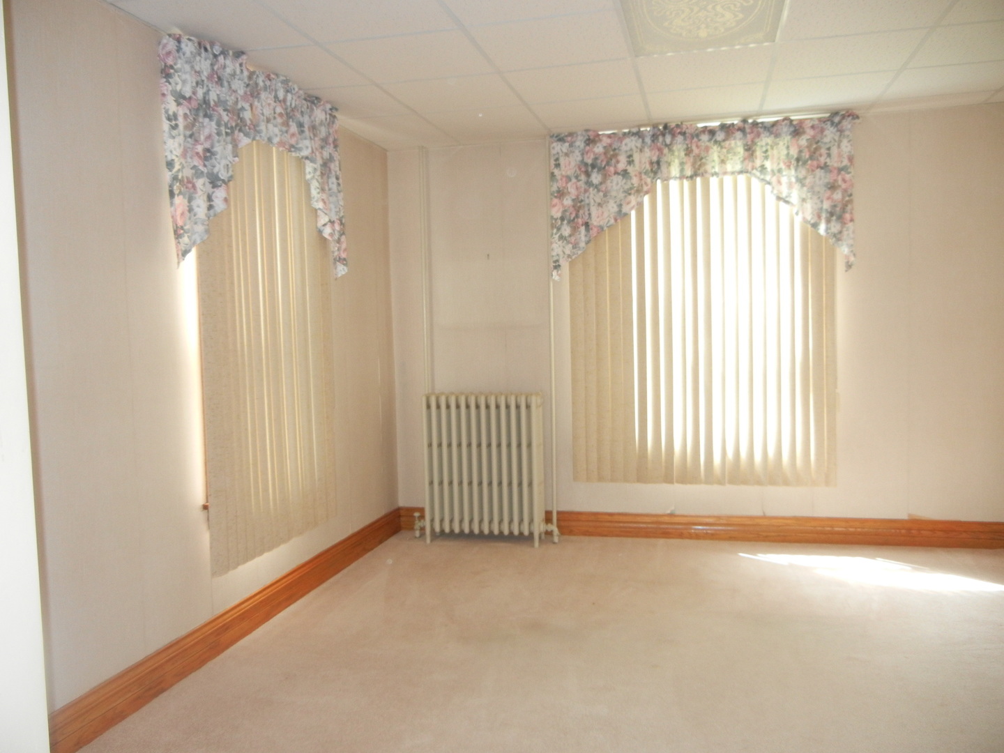 1028 East Corning Road Beecher, IL 60401 - Photo 9 of 30
