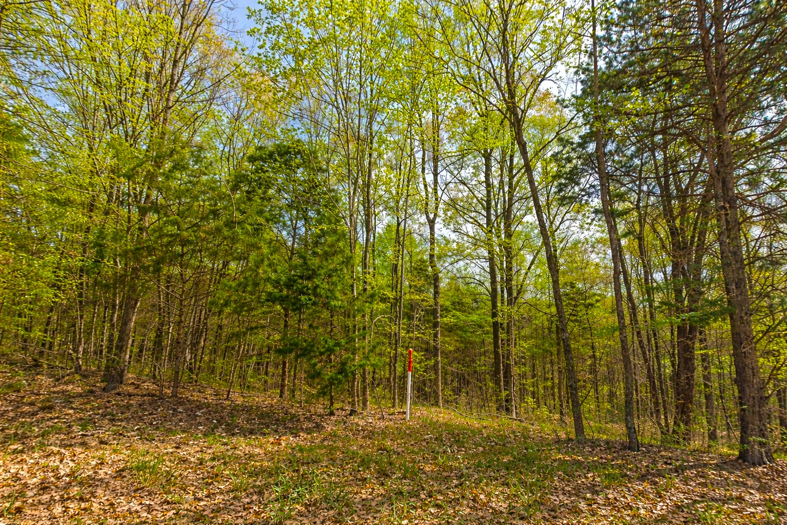 0 Peach Orchard Road Lewisburg, KY 42256 - Photo 13 of 21