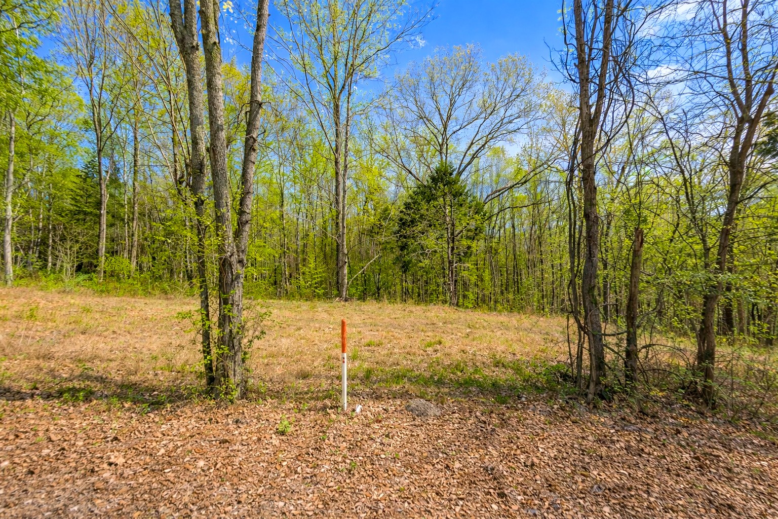 0 Peach Orchard Road Lewisburg, KY 42256 - Photo 14 of 21