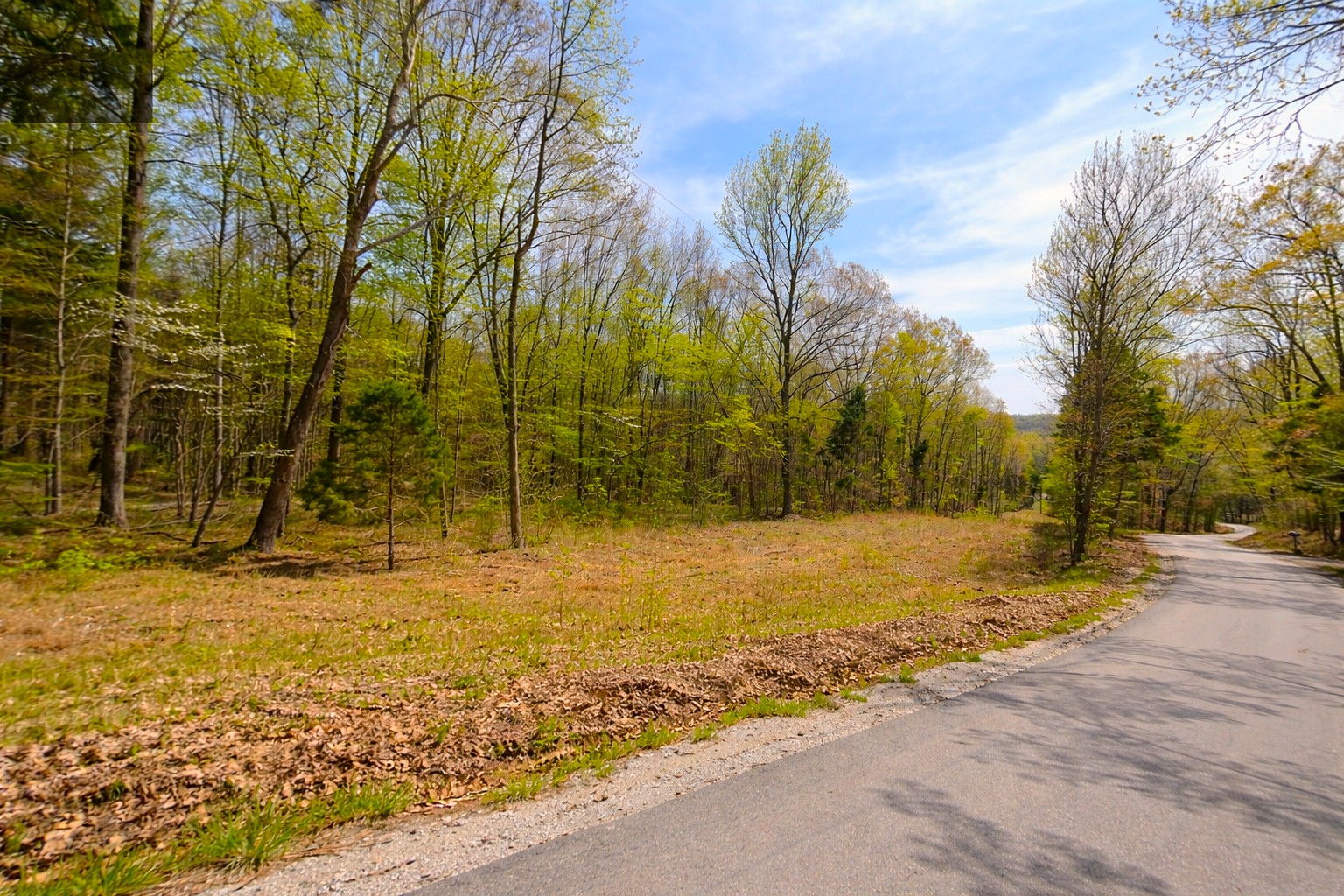 0 Peach Orchard Road Lewisburg, KY 42256 - Photo 16 of 21