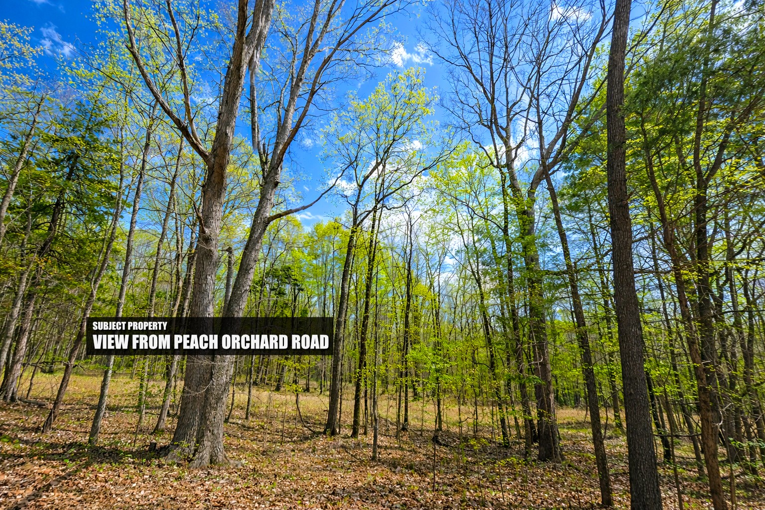 0 Peach Orchard Road Lewisburg, KY 42256 - Photo 3 of 21