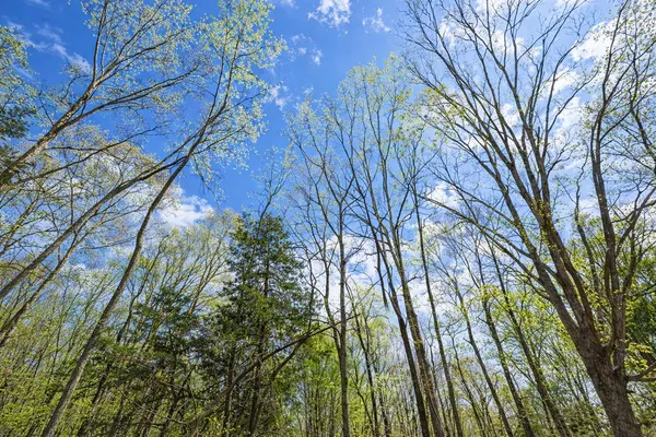 $129,500 | 0 Peach Orchard Road, Lewisburg, KY 42256