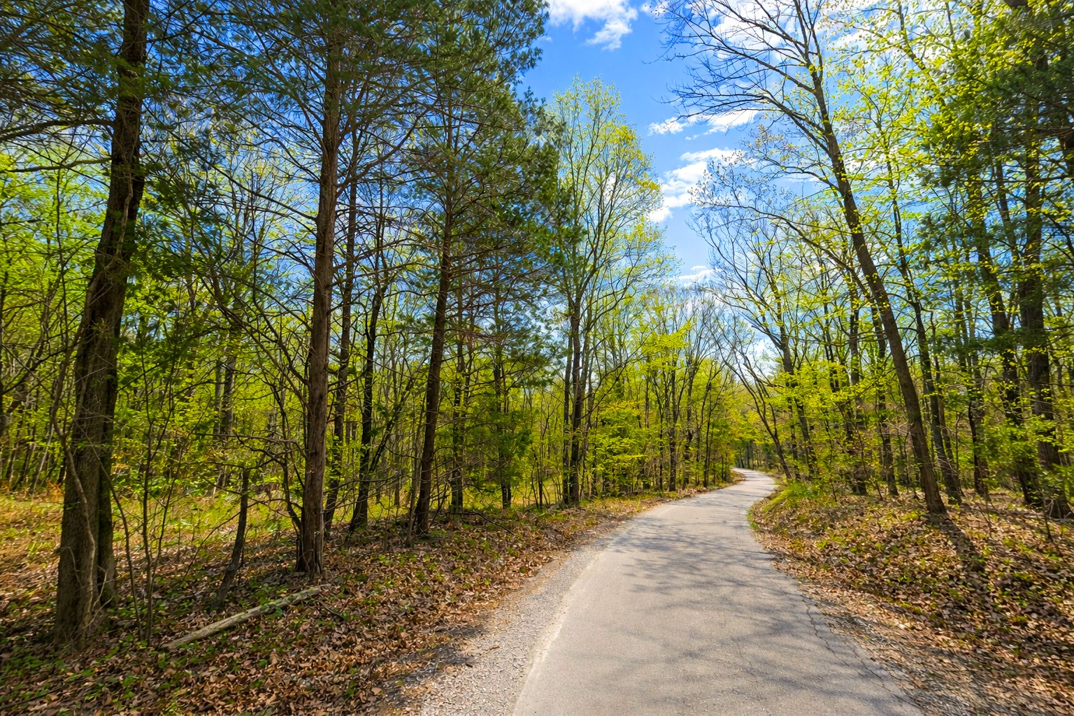 0 Peach Orchard Road Lewisburg, KY 42256 - Photo 10 of 21