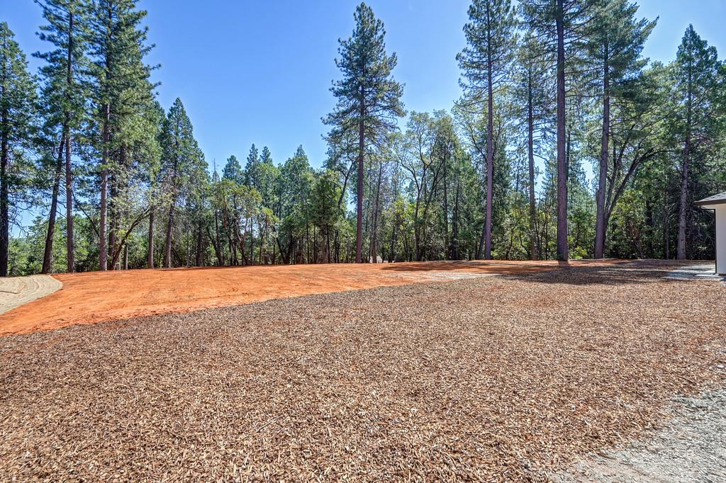 5347 Reservoir Road Georgetown, CA 95634 - Photo 82 of 97