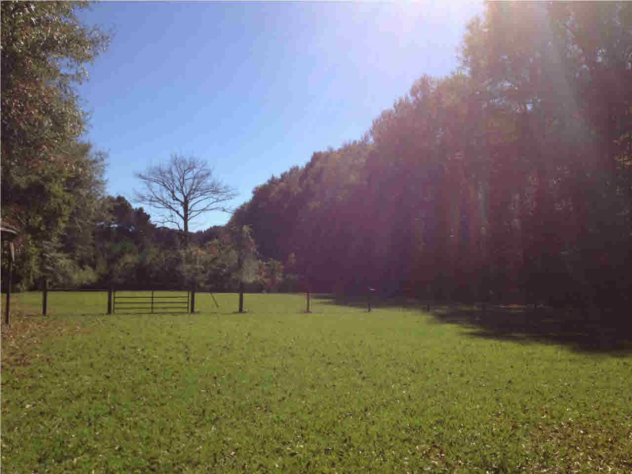 472 Mt Zion Church Road Brandon, MS 39042 - Photo 3 of 6 Photo 3