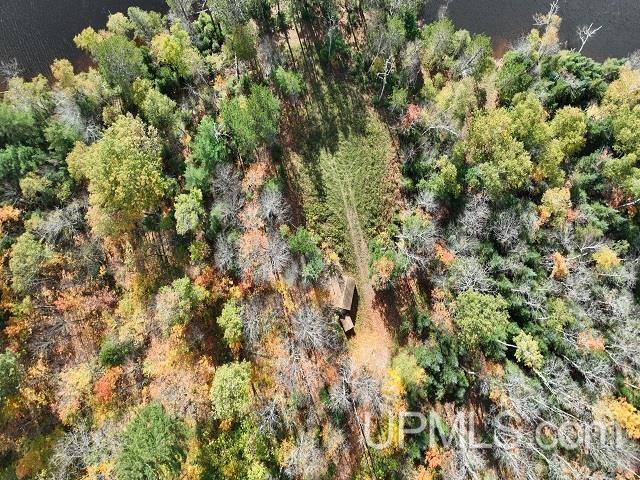 5800 Wolf Lake Road Watersmeet, MI 49969 - Photo 71 of 86