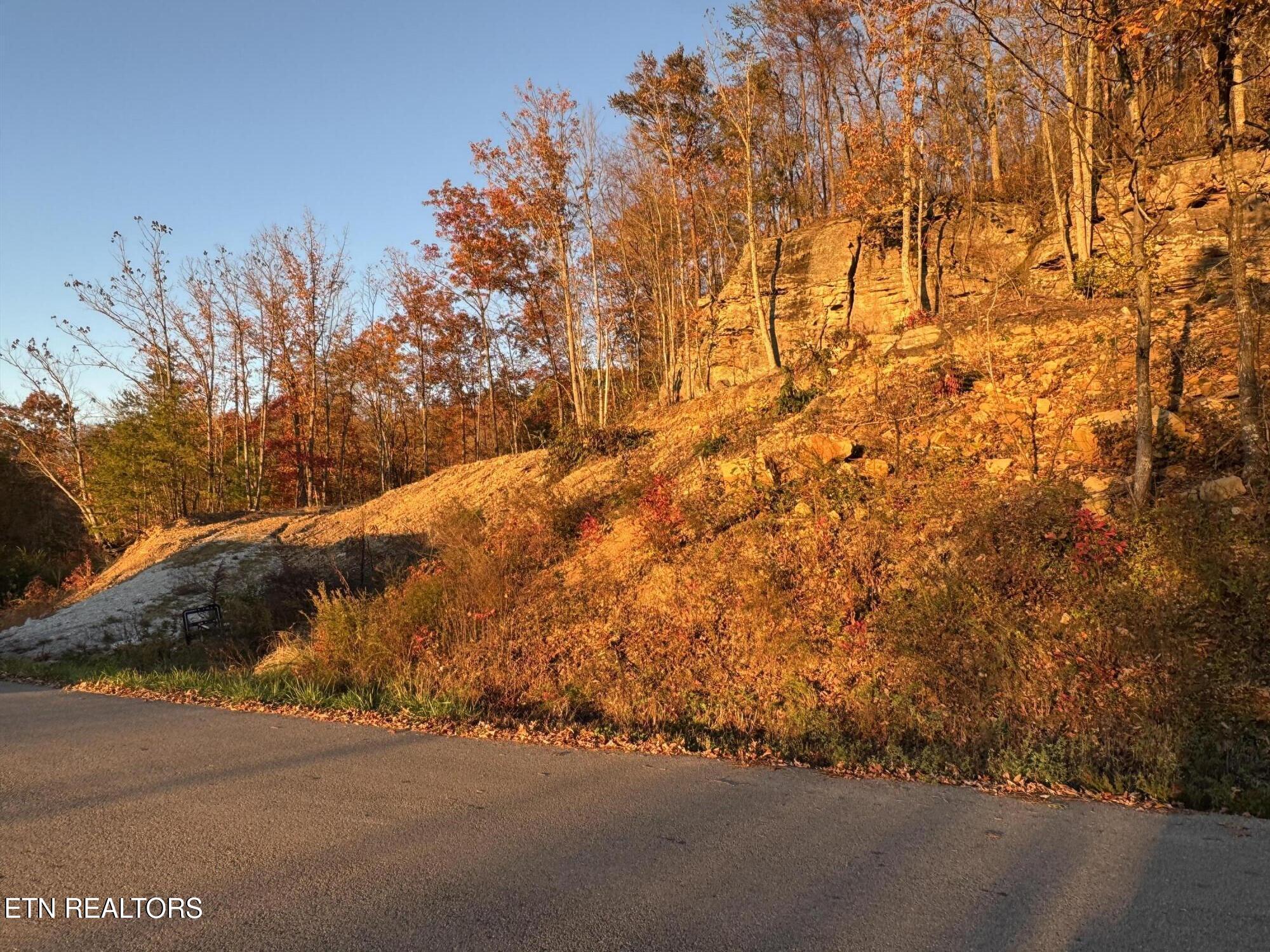 Big Ridge Road Oneida, TN 37841 - Photo 2 of 33 IMG_4981