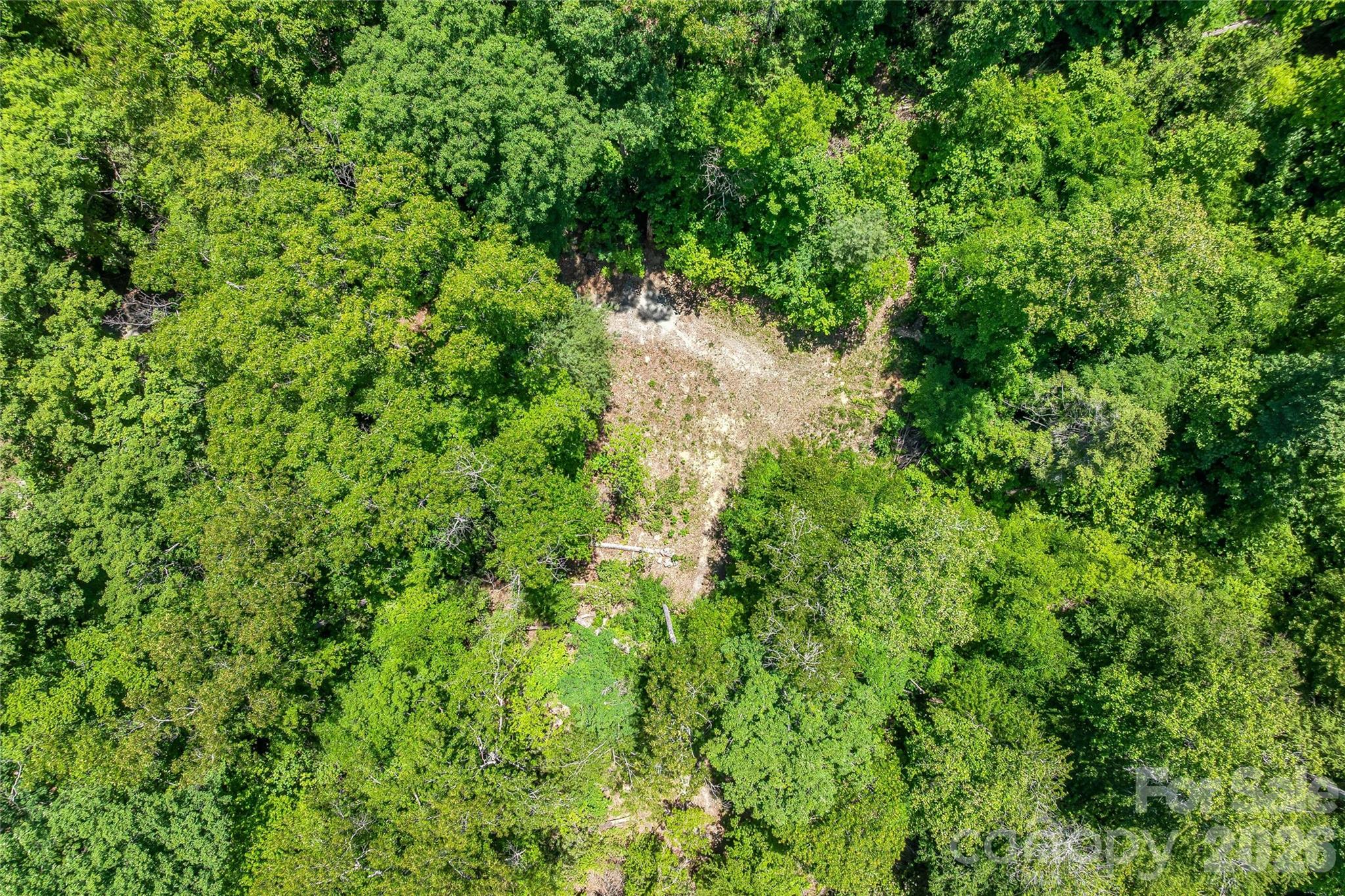 180 Fat Wall Road Marion, NC 28752 - Photo 7 of 32 a view of a forest with a tree