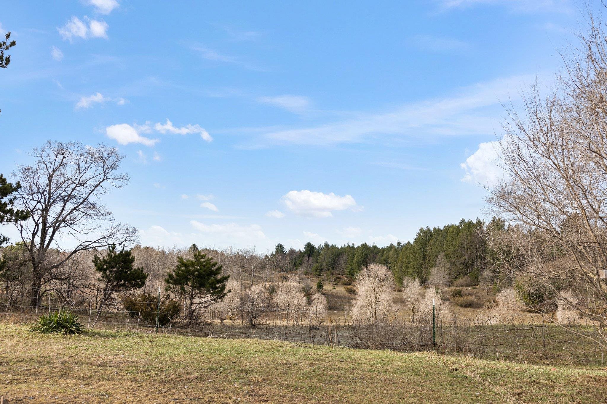 4809 Grace Road Benzonia, MI 49616 - Photo 47 of 57