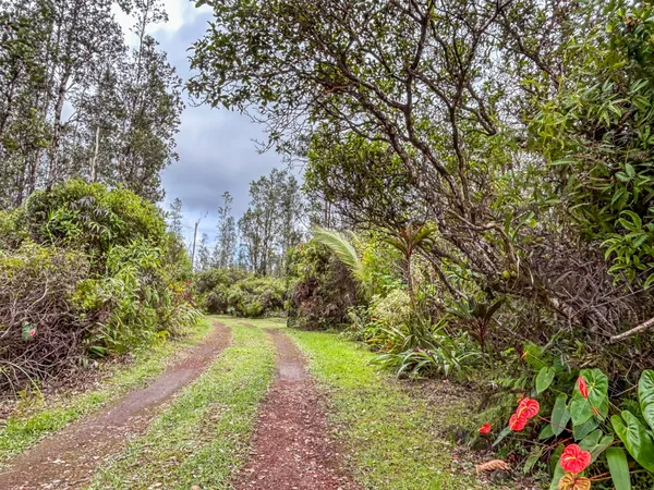 $205,000 | 16-2020 Uau Rd Mountain View, Pahoa, HI 96778