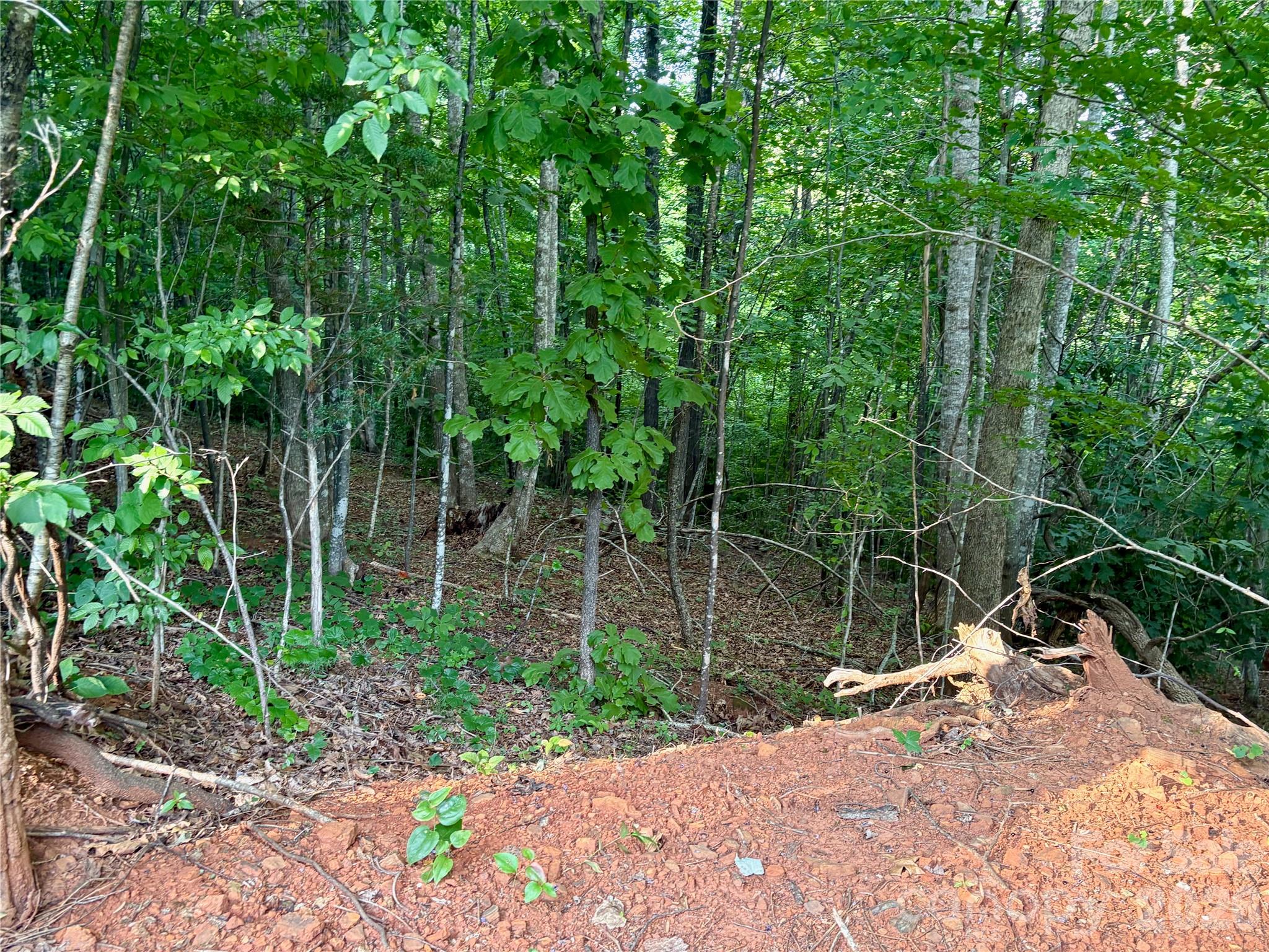 289 Champagne Ridge Lake Lure, NC 28746 - Photo 6 of 6
