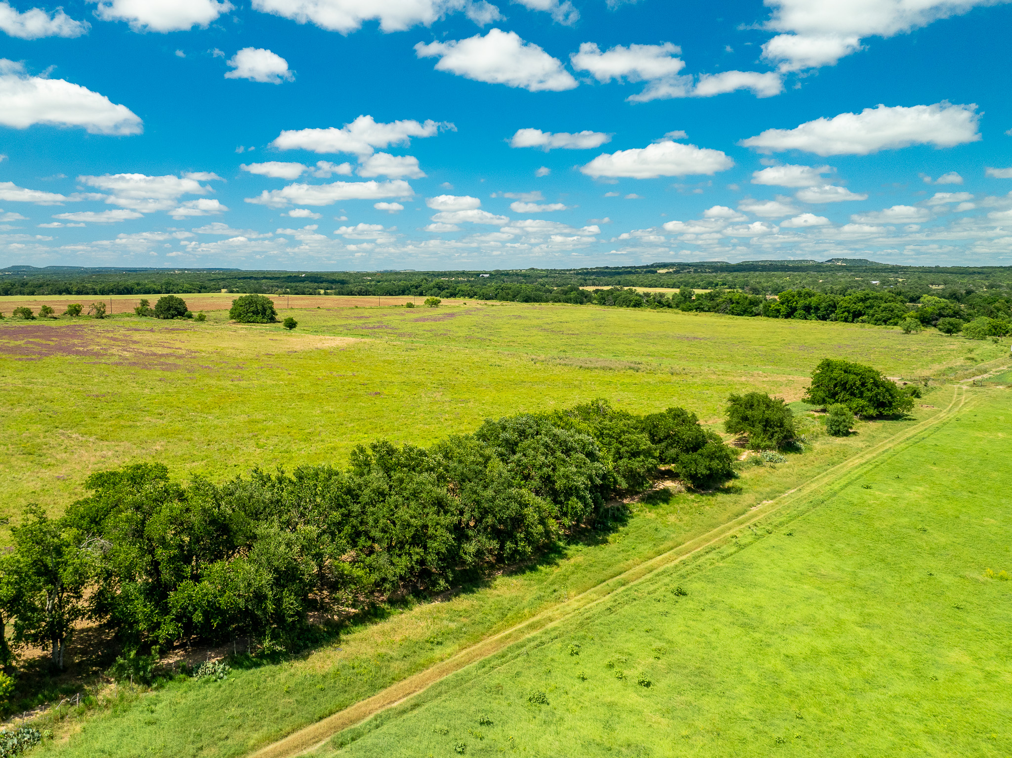 8044 580th Street East Kempner, TX 76539 - Photo 14 of 40 Rolling green acreage beckons, offering a serene expanse under an open sky.