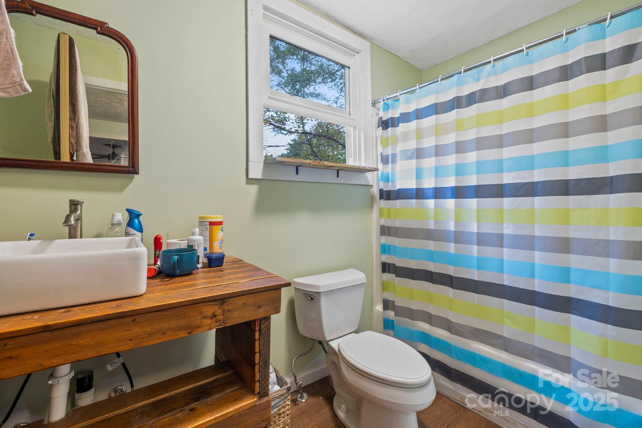 1196 North Country Club Road Brevard, NC 28712 - Photo 33 of 48 a bathroom with a sink a toilet and a shower curtain