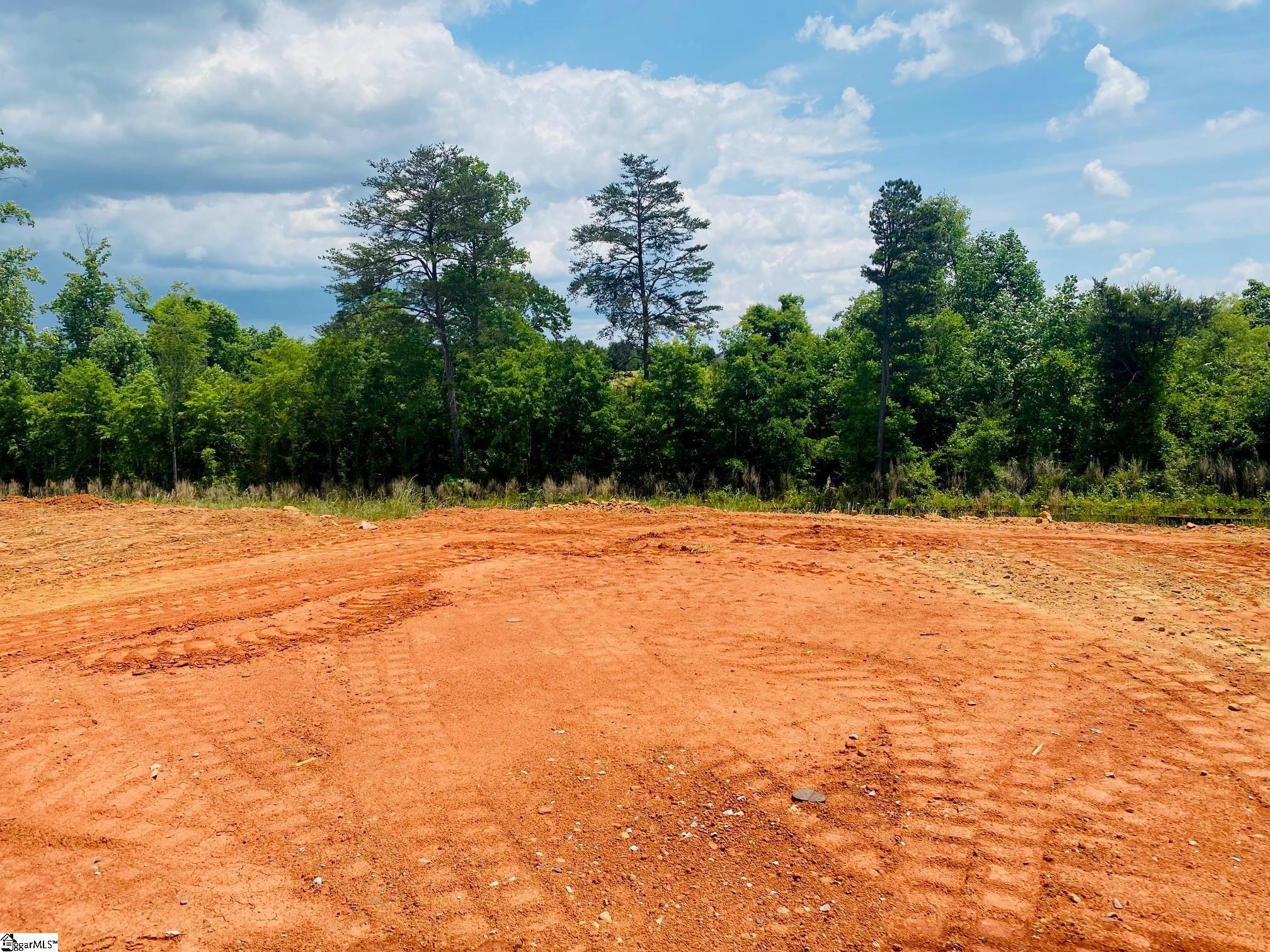 578 New Cut Meadows Road, Unit HOMESITE 46 Inman, SC 29349 - Photo 6 of 15
