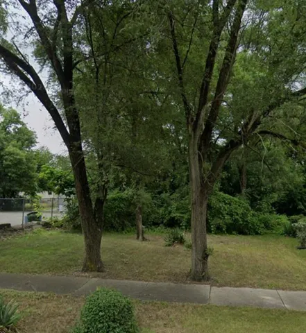 a view of a yard with a tree