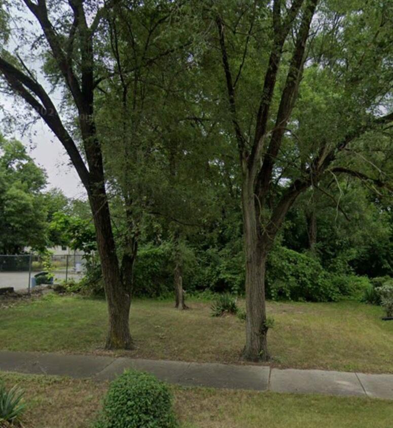 a view of a yard with a tree