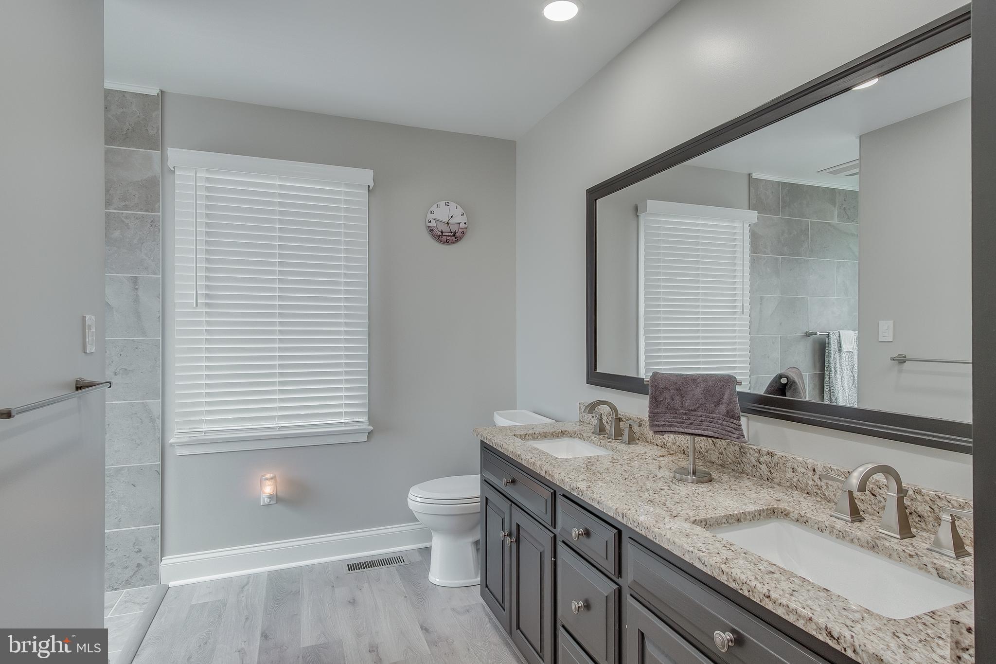17646 Spielman Road Fairplay, MD 21733 - Photo 26 of 89 Primary bathroom