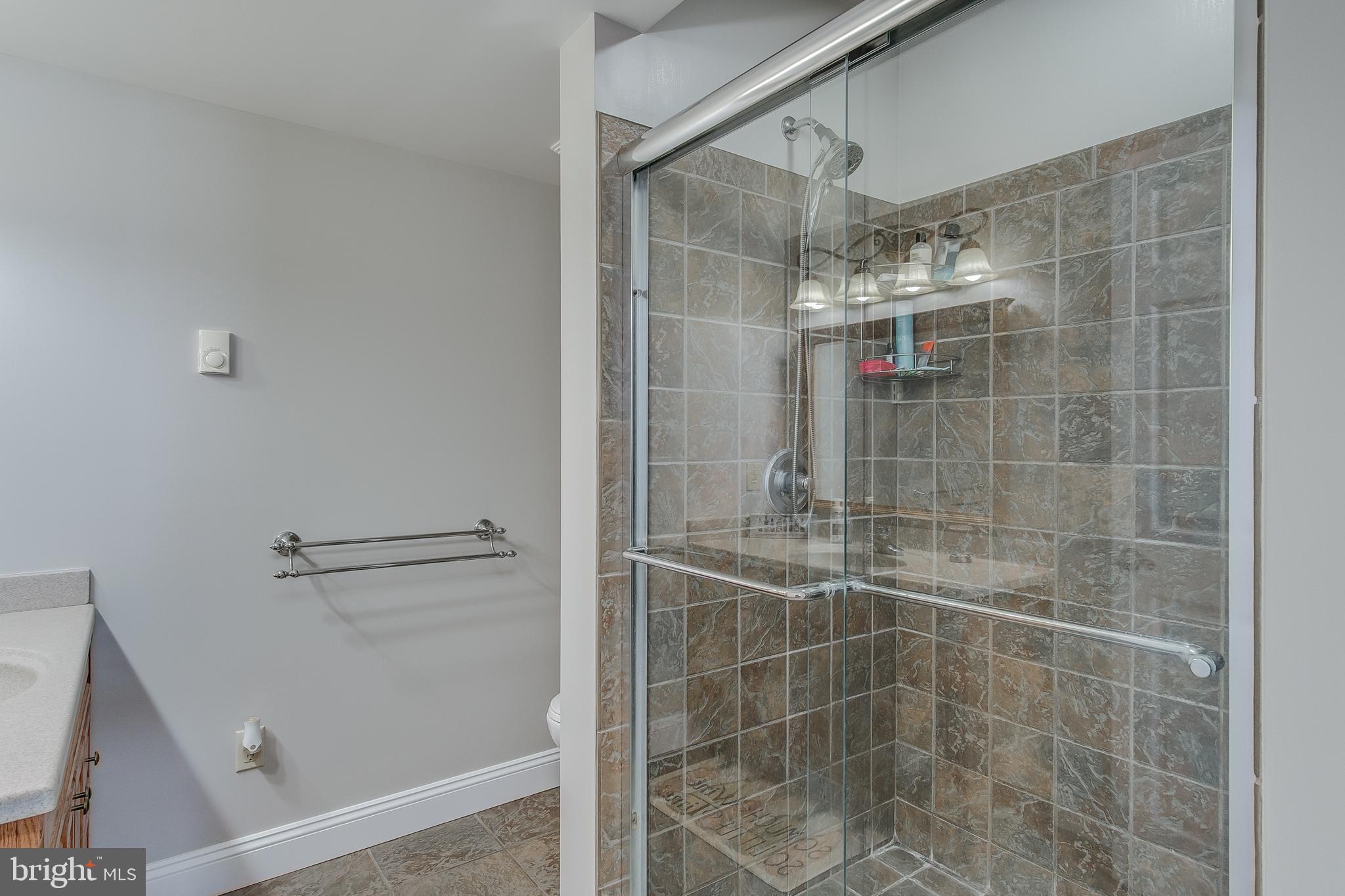 17646 Spielman Road Fairplay, MD 21733 - Photo 40 of 89 Full bathroom in basement