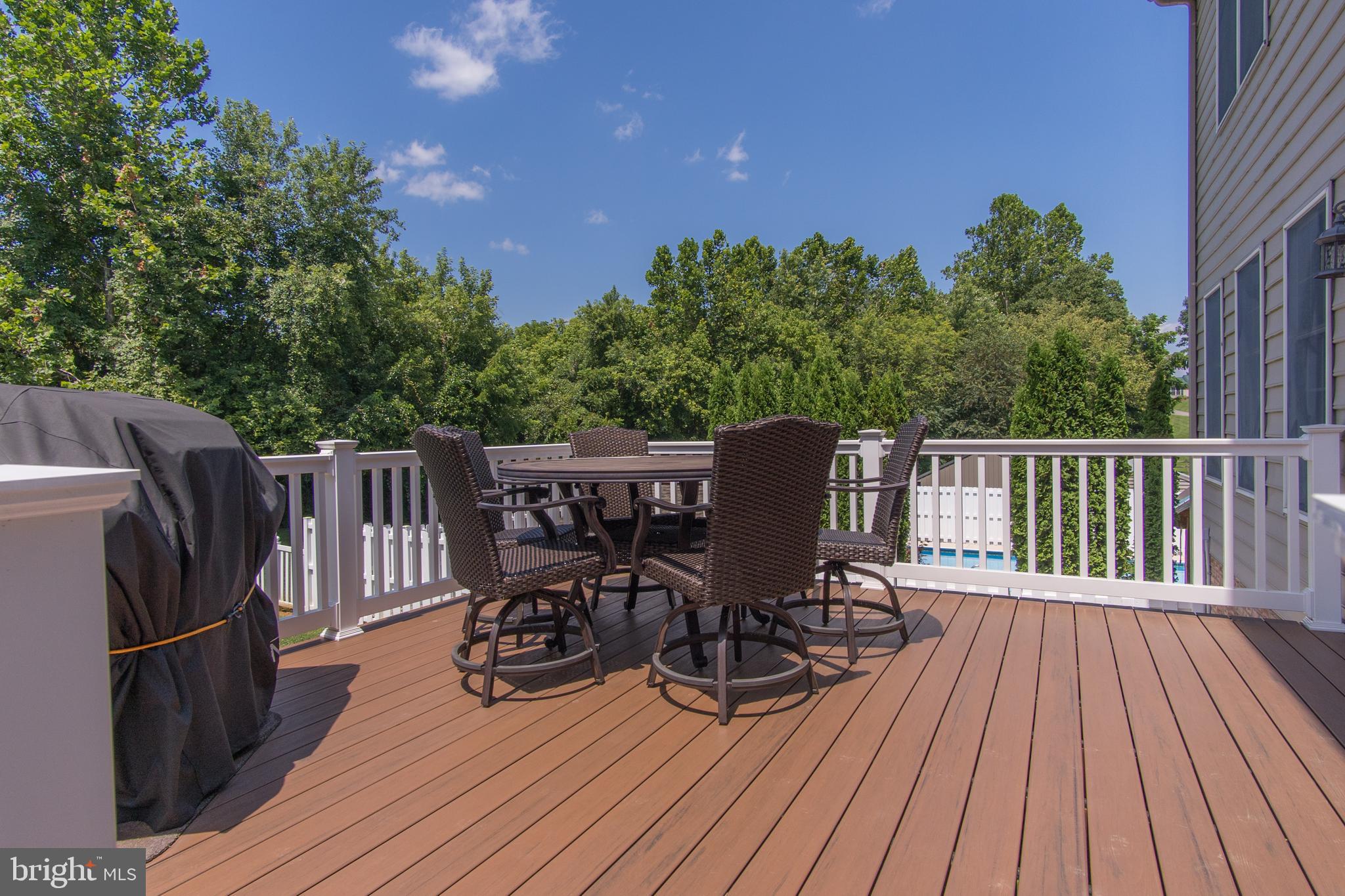 17646 Spielman Road Fairplay, MD 21733 - Photo 55 of 89 Composite deck