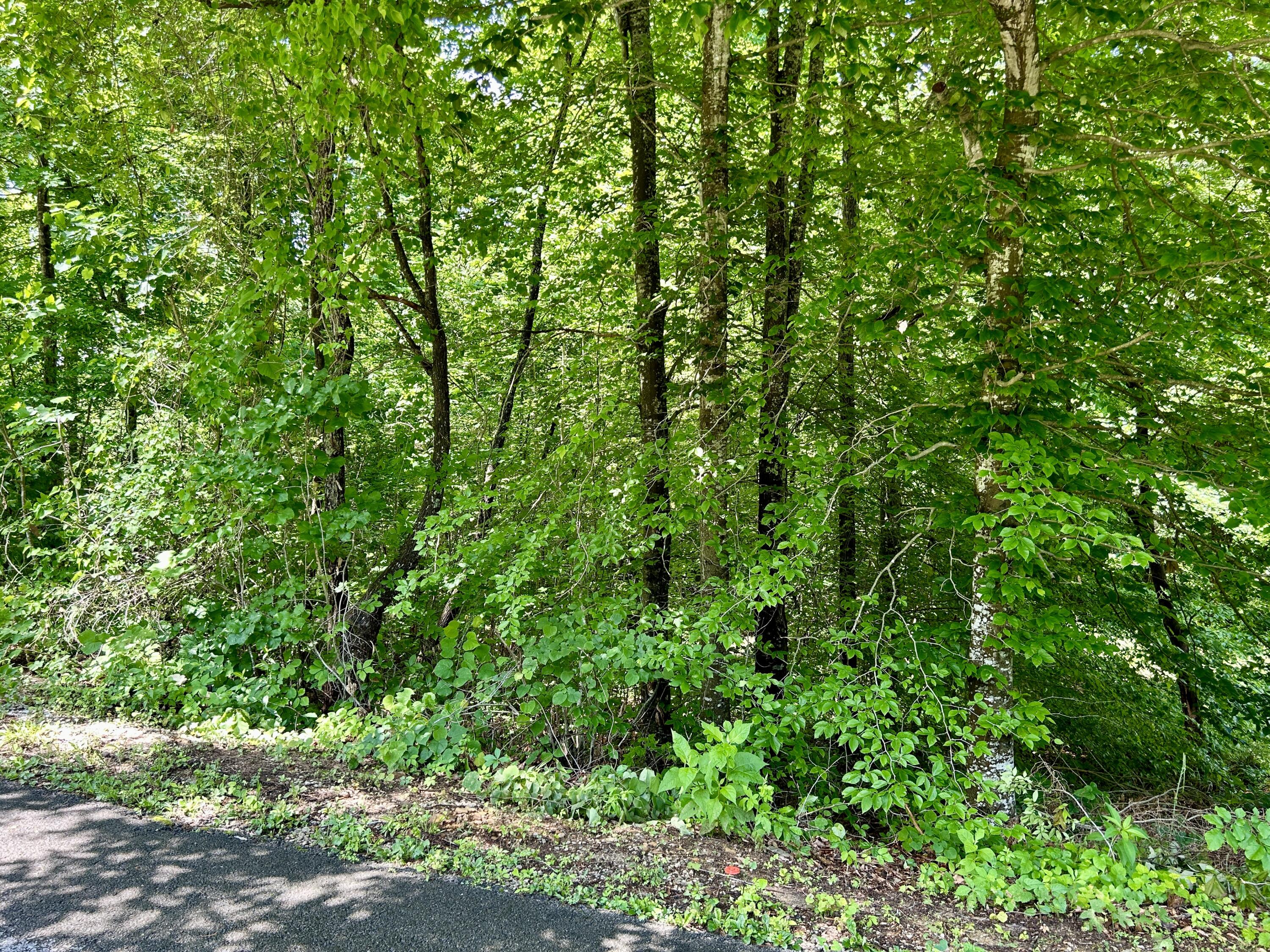2780 Roberts Bend Road Burnside, KY 42519 - Photo 2 of 6 IMG_E1327