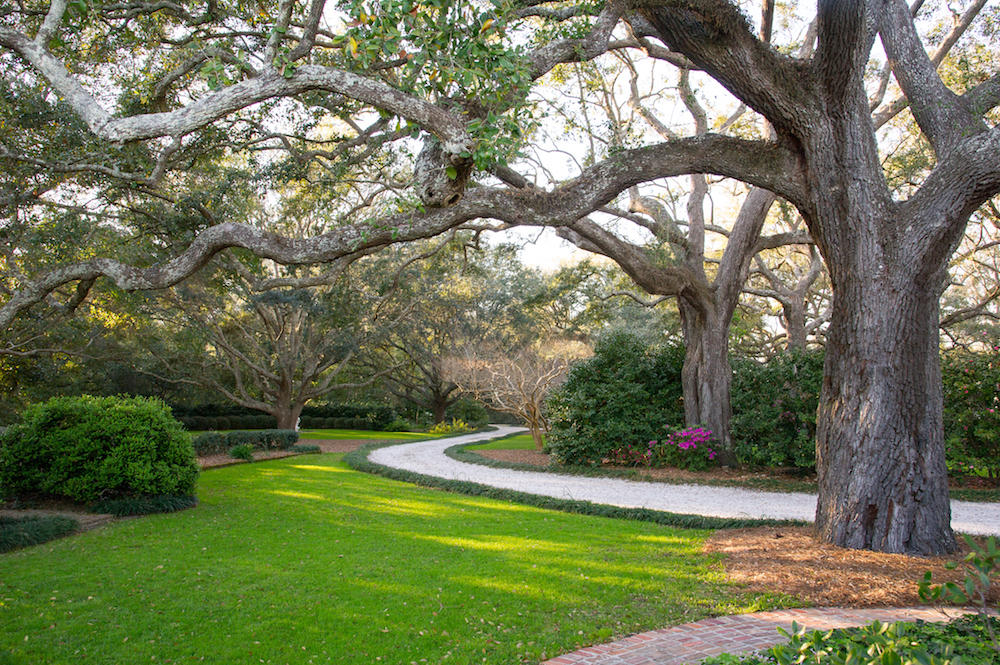1687 Fort Lamar Road Charleston, SC 29412 - Photo 36 of 46 STP_8210