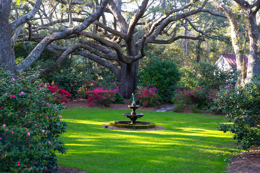 1687 Fort Lamar Road Charleston, SC 29412 - Photo 38 of 46 STP_8156