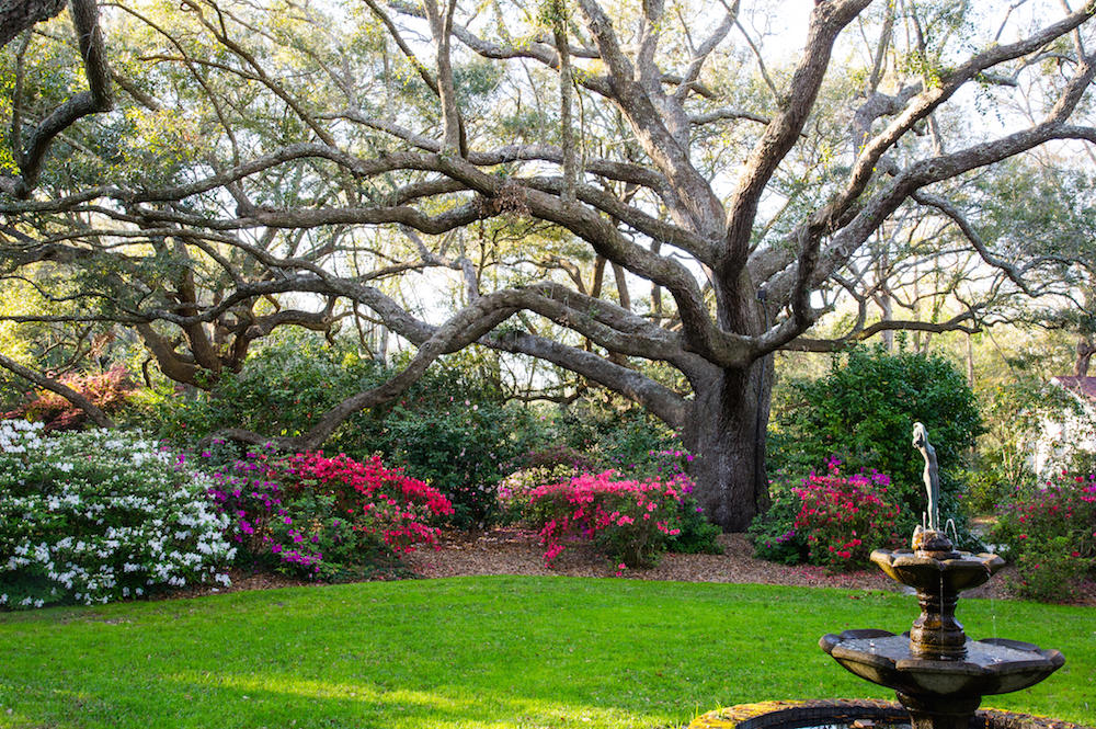 1687 Fort Lamar Road Charleston, SC 29412 - Photo 40 of 46 STP_8162
