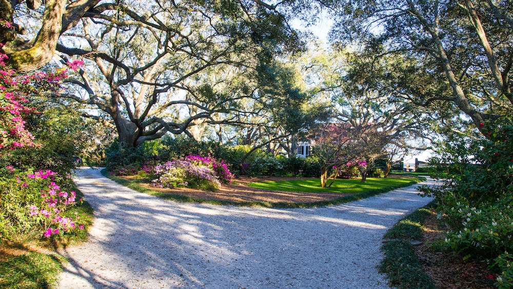 1687 Fort Lamar Road Charleston, SC 29412 - Photo 6 of 46 STP_8143