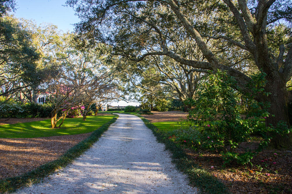 1687 Fort Lamar Road Charleston, SC 29412 - Photo 7 of 46 STP_8145