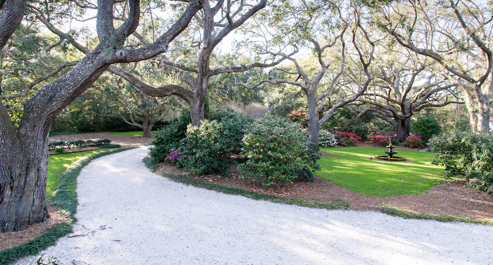1687 Fort Lamar Road Charleston, SC 29412 - Photo 8 of 46 STP_8154