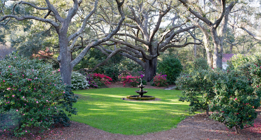 1687 Fort Lamar Road Charleston, SC 29412 - Photo 9 of 46 STP_8153
