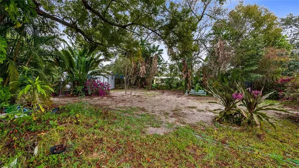 a view of a tree in front of a house