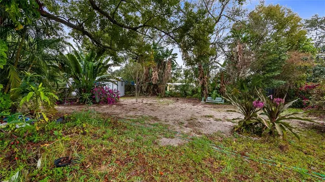 a view of a tree in front of a house