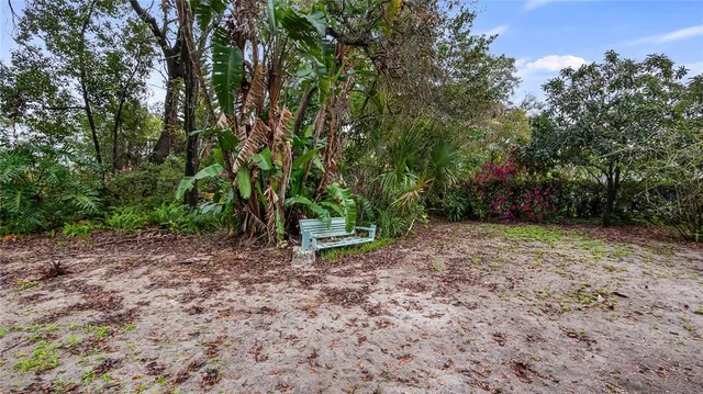 a view of a backyard with large trees
