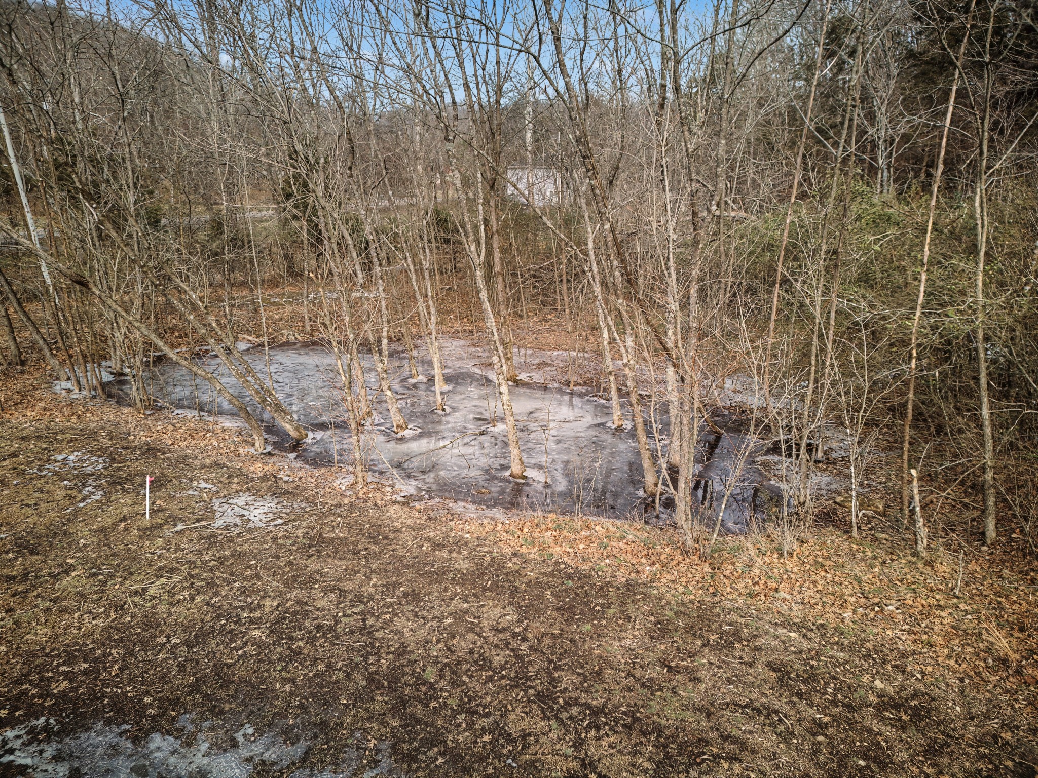 596 Lindsey Hollow Road Gallatin, TN 37066 - Photo 16 of 46